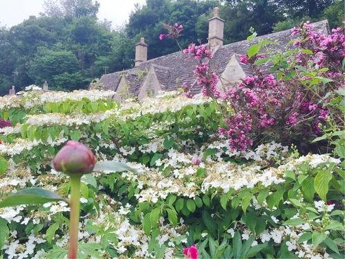 遛鸟大师娱乐吃瓜君,揭秘娱乐圈幕后趣闻