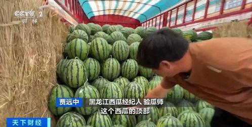 五一吃瓜网最新官网入口,揭秘五一热门话题,尽享娱乐盛宴!