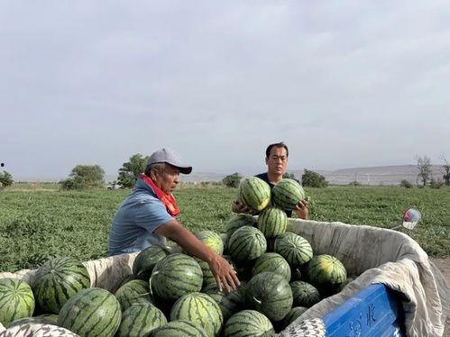 五一吃瓜网最新官网入口,揭秘五一热门话题,尽享娱乐盛宴!